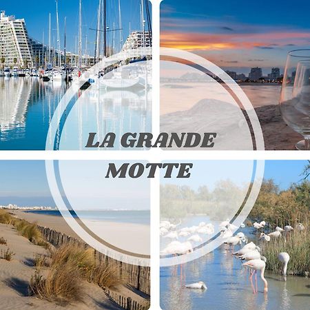 Le Dream Beach-Terrasse-Vue Mer D'Exception-Wifi-Parking - Top Pros Servicesconciergerie Palavas-les-Flots Exterior foto